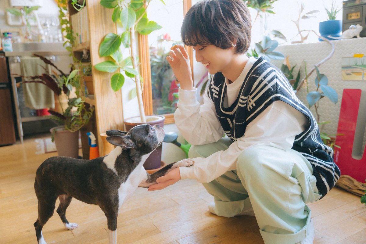 愛犬はボクちゃん 月刊わんこ編集部 on X