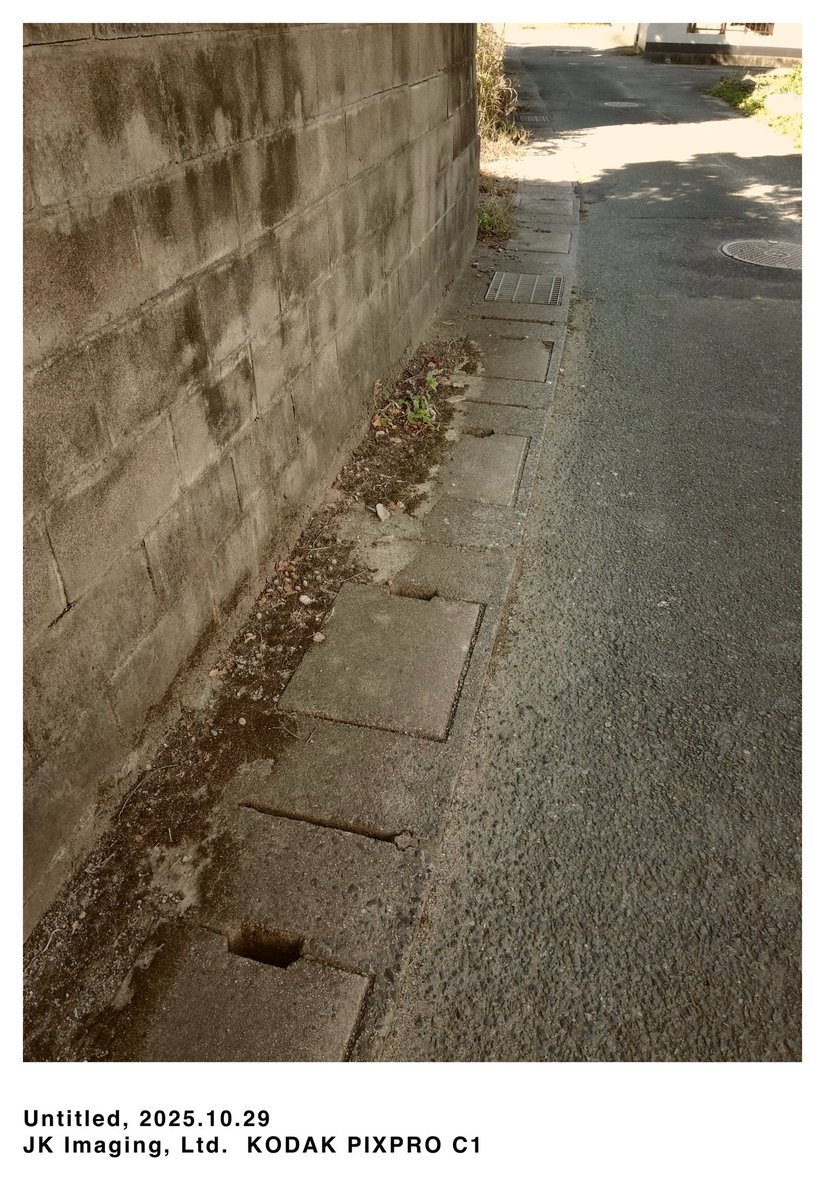 kohakuページ Ginrin Doitsu Ochibashigure - koi #x0618t027 - Maruhiro Koi Farm