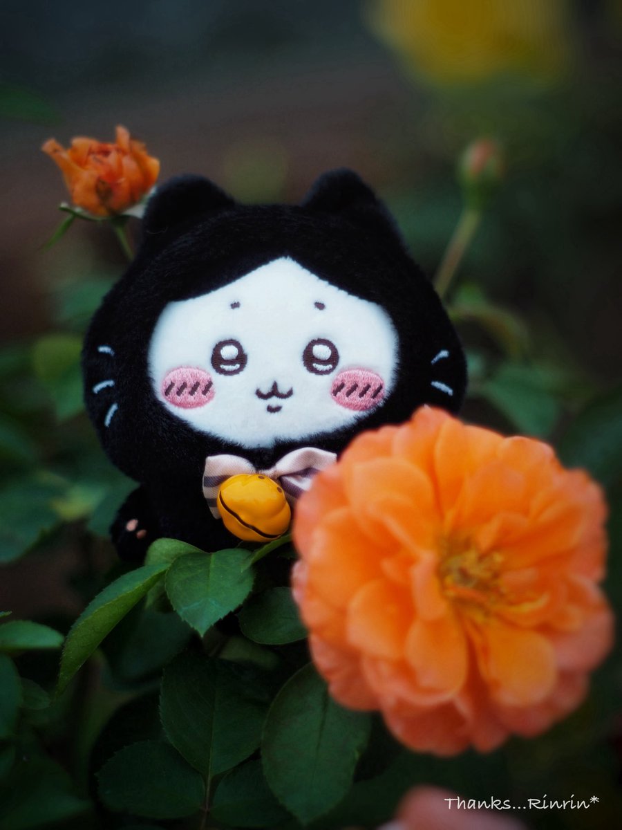 ❤︎Fluffy Cute Rin❤︎ vocaloid-fluffy-mascot-