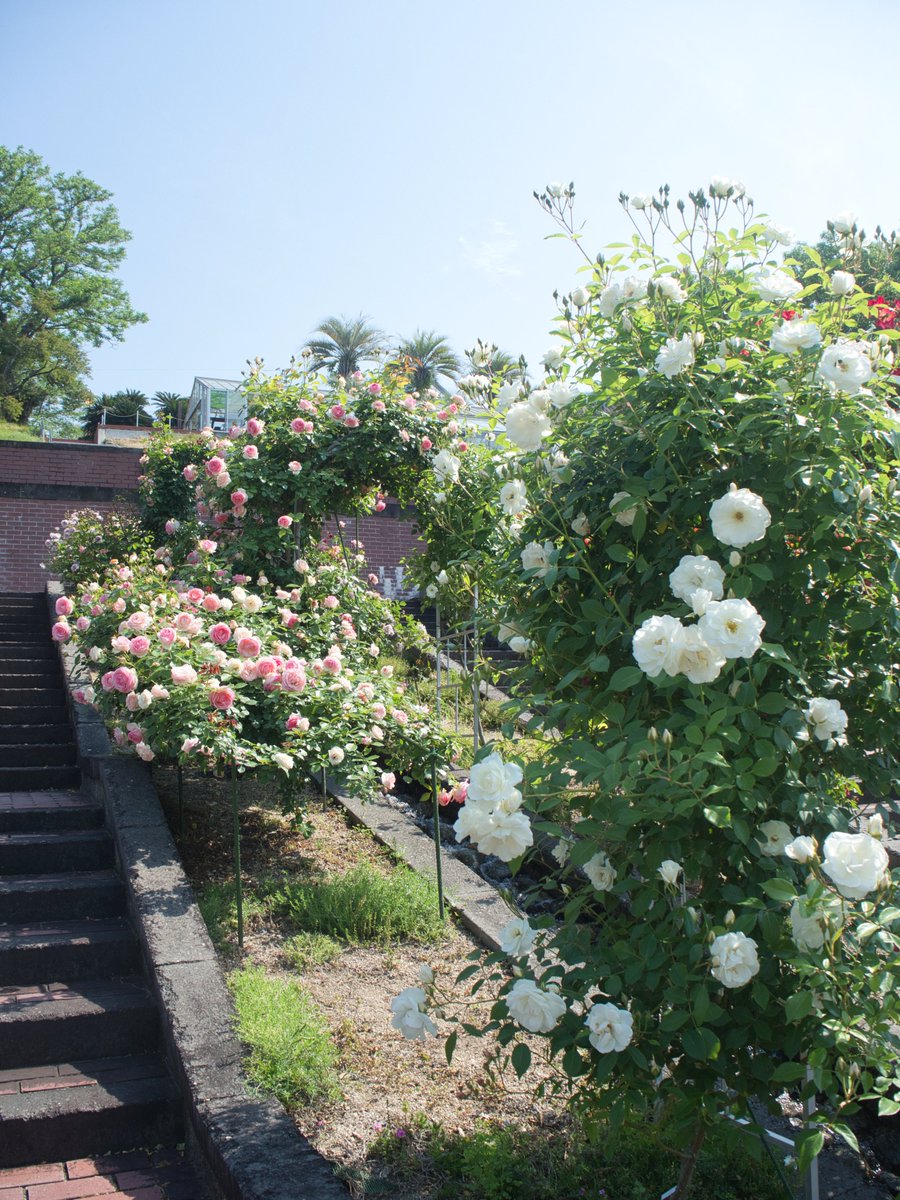 ☆ひろりんページです☆ ひろりん♪ on X