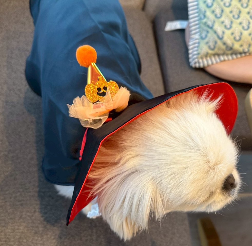 むぎくん (@muuuugi76) / Posts / X