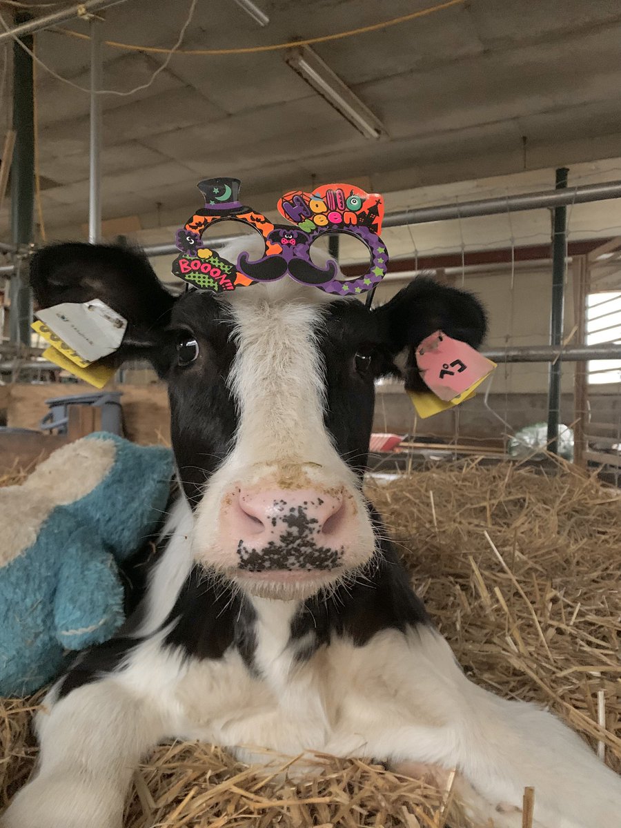 う (@USR256) / Posts / X