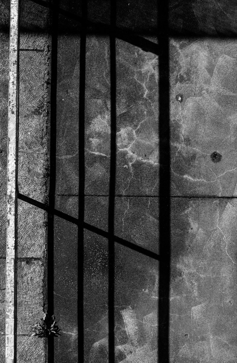 #theviewfinder #streetphotography