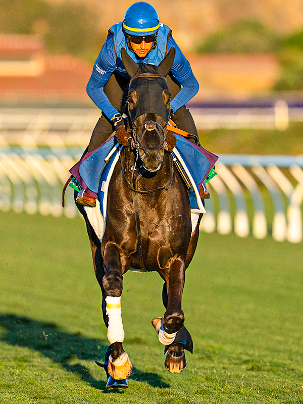 Racing Post tweet media