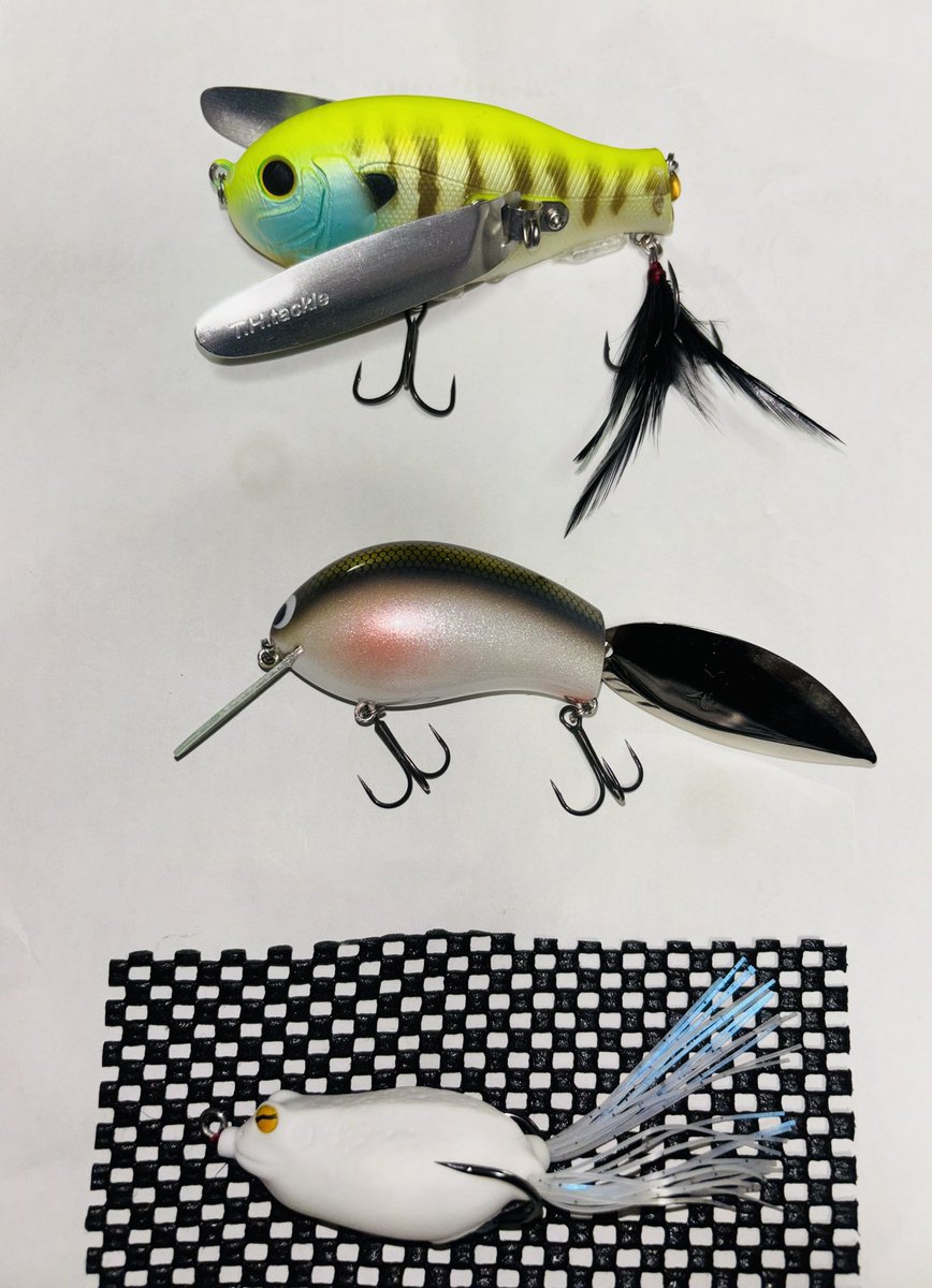 XkHQtZK8kx3fhWt's tweet photo. 今週末のスタメン😊👍🎣！

山ちゃん的には普通だけど、まともな釣り人には「11月にそのメンツですか？」と言われそうな「ガンガンいこうぜコマンド軍団」で参ります😊👍🎣！

池にヒシモもまだあるしBQフロッグも出るかも😆🐸🎣！？

#バス釣り
#mocchi 
#redcub
#BQFrog https://t.co/UDT3mEq3Fb