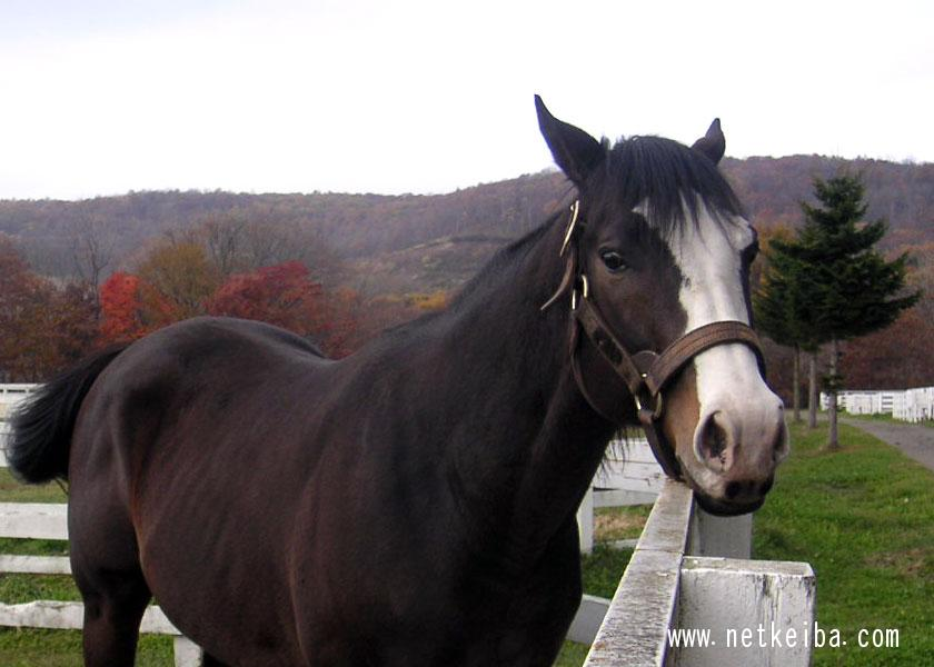 Maria 🌟 (@PwtchDetective) / Posts / X