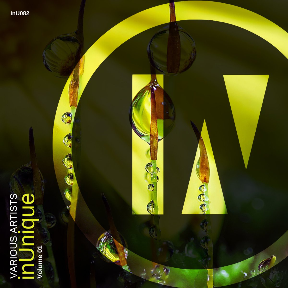 Awantalyst - Maybe Like You
protonradio.com/releases/23329…

open.spotify.com/track/78fX3qpg…