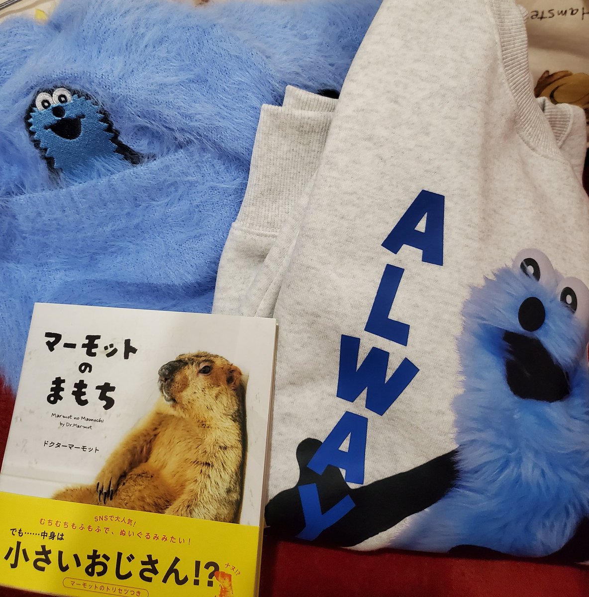 ノンちゃんすーちゃんの春夏秋冬 Nonochan(Nonoka Murakata) FUNICULI FUNICULA - YouTube