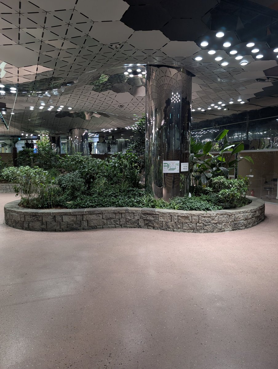 Allon Sigler tweet media