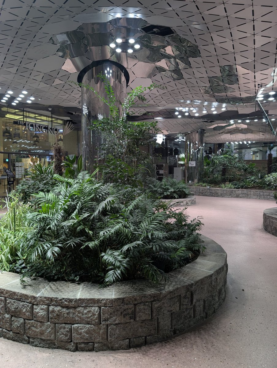 Allon Sigler tweet media