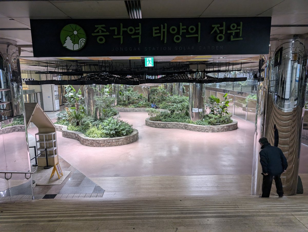 Allon Sigler tweet media