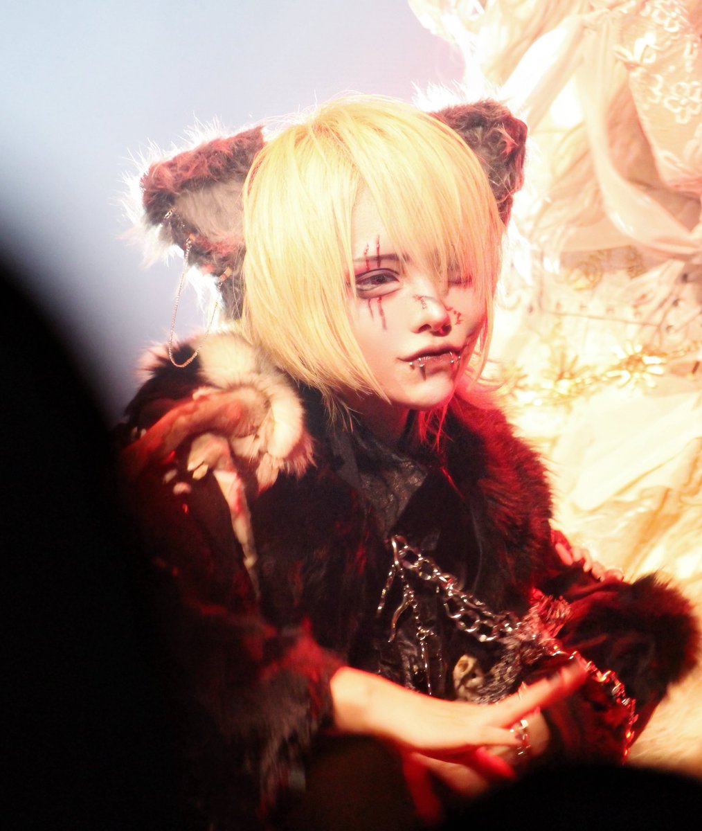 p_q__Z's tweet image. ◀️ライブ中　求愛中▶️