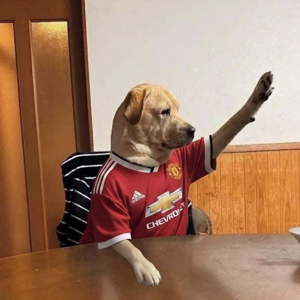 Chat! I have a question 

If Mbeumo, Amad and Mazraoui leave for afcon, who plays the RWB and RW?