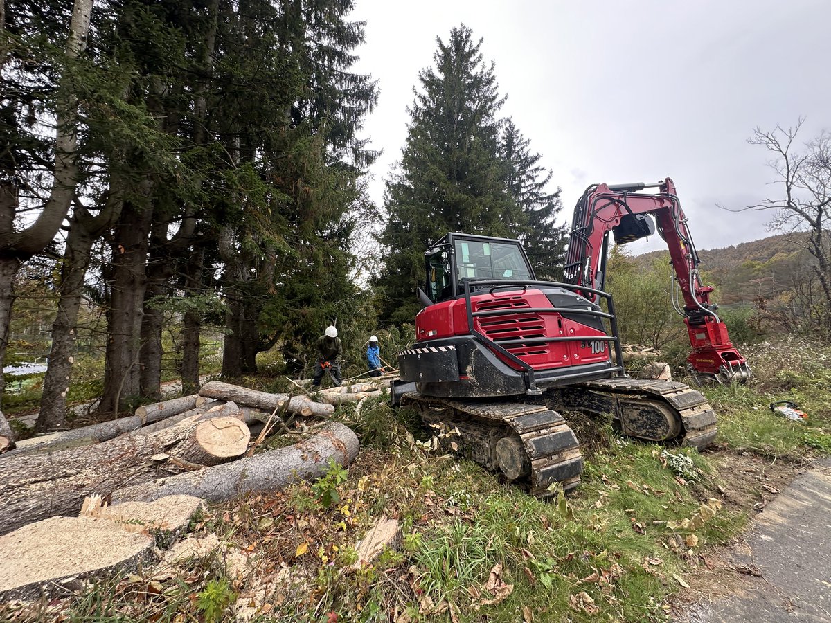 送料込み。清涼感。山採りウメモドキ。。 雨降 水酛仕込・愛山 | Sake World