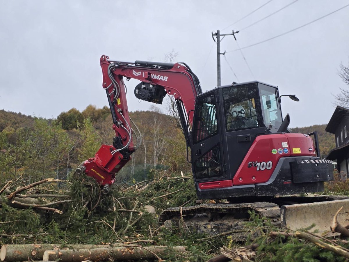 山採り　エゴノキ 山採り自然樹形のエゴノキ販売 那珂市秋元園芸