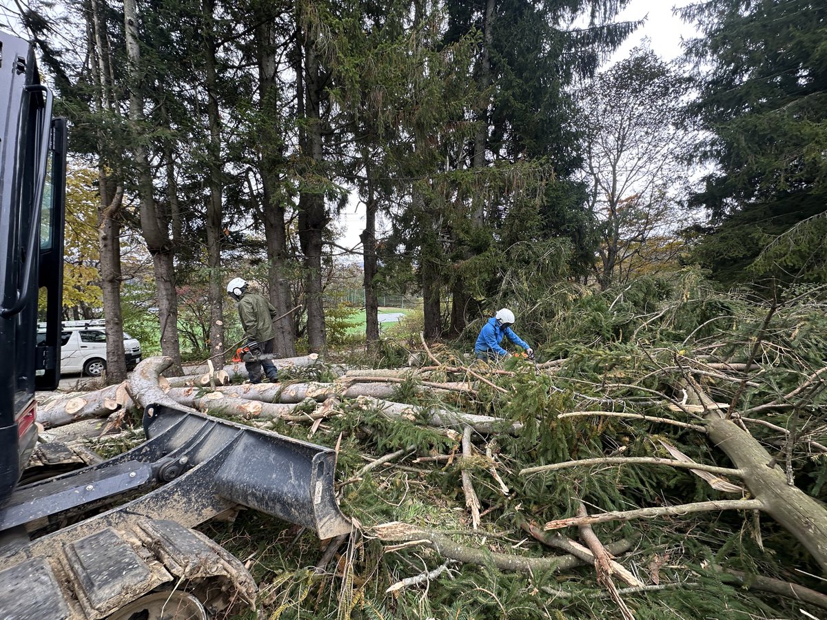Yukihiro Koyama 小山 教洋 on X