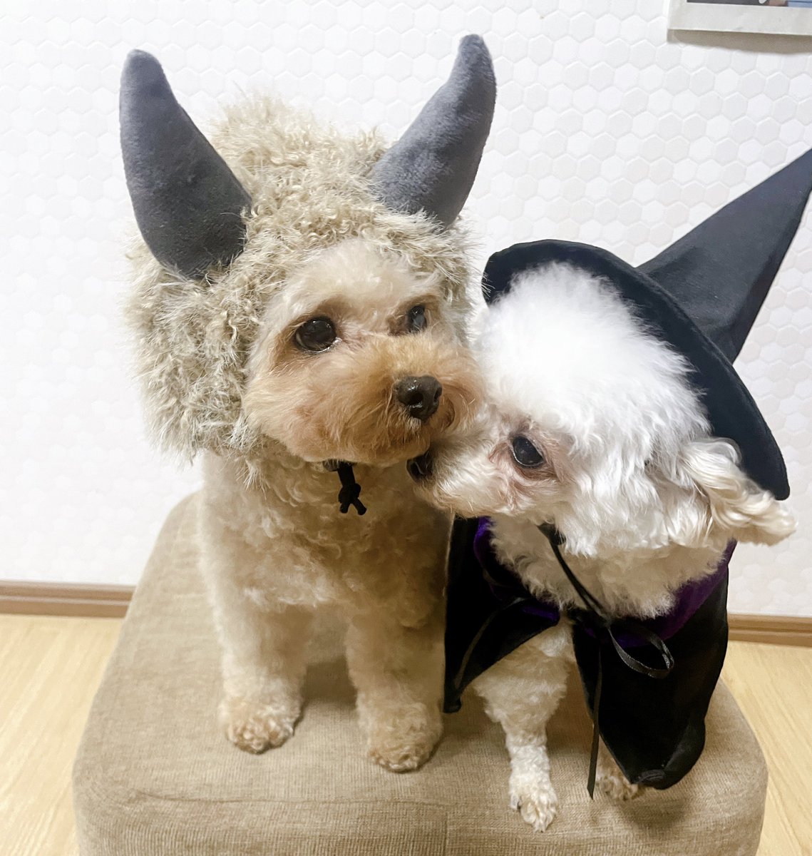 ⭐︎ にこ　⭐︎ コンバース｜converse レディース 通販 converse コンバース ALL