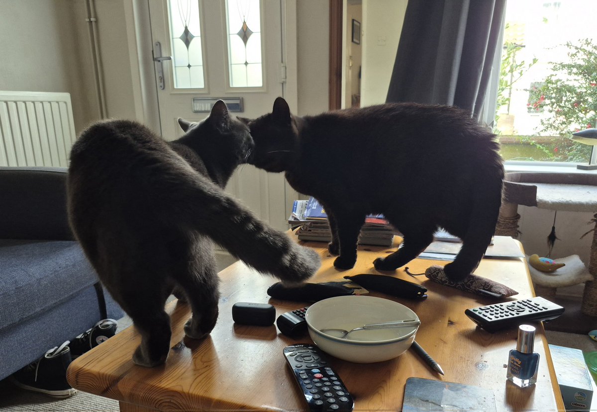 This is a one off. I'm never getting this close to Thruxton again! 🙀 Oulton