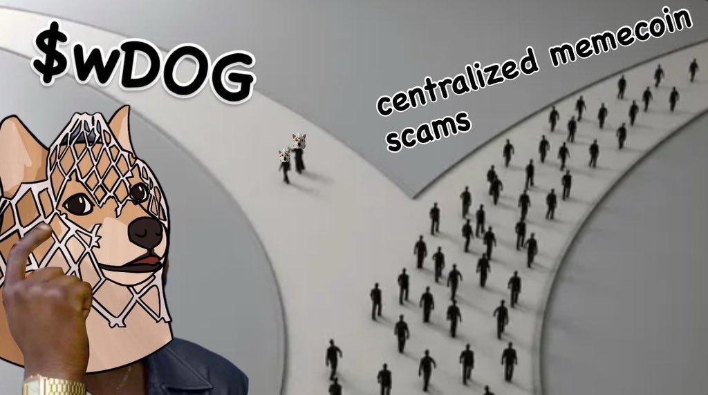 TCnotes's tweet image. wrap up $wDOG