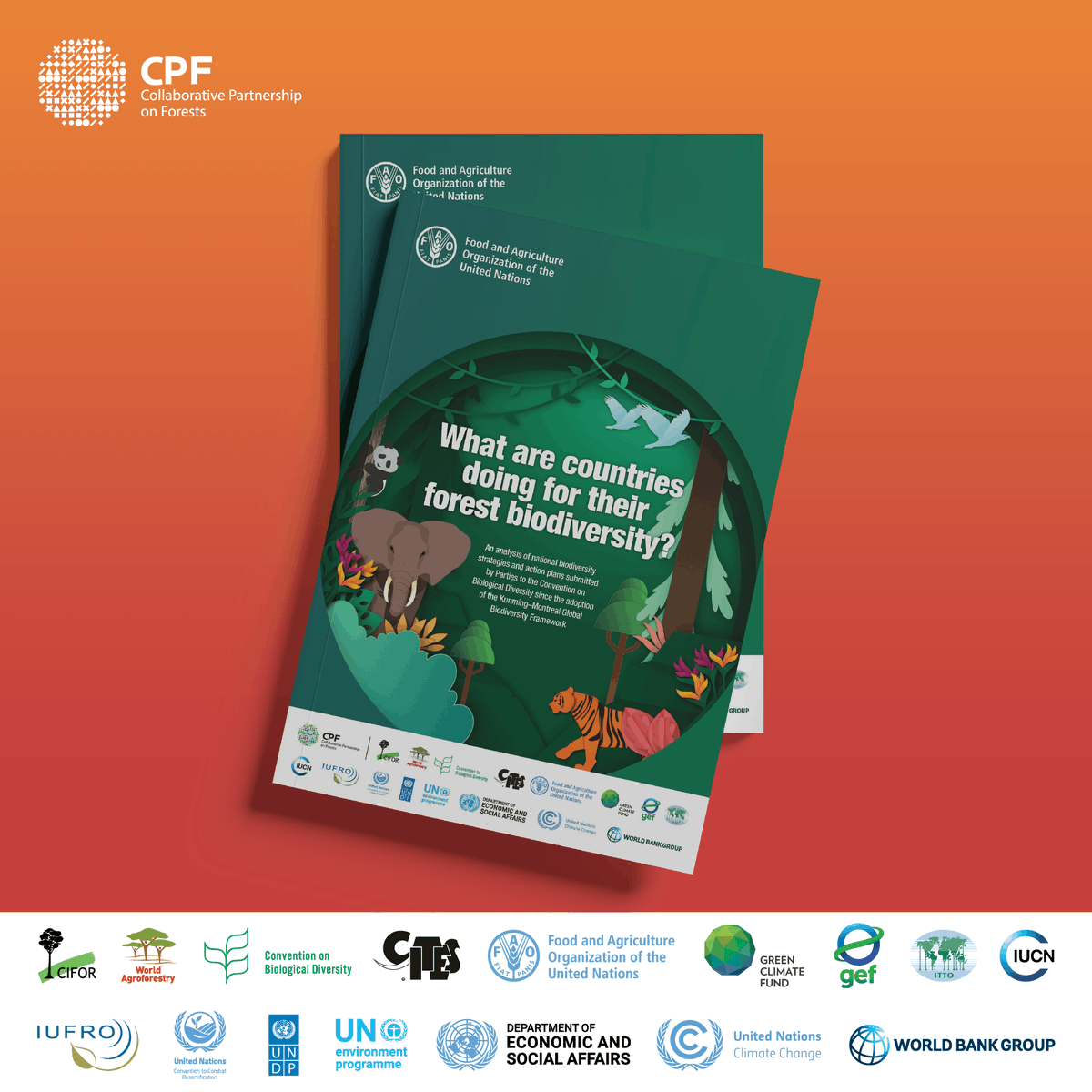 Studi terbaru dari Collaborative Partnership on Forests menemukan bahwa pengelolaan hutan berkelanjutan menjadi strategi utama dalam menjaga keanekaragaman hayati dunia.

Baca di👉 ow.ly/9ECK50XgLRB

<a href="/UNBiodiversity/">UN Biodiversity</a> 

#CPForests #KMGBF