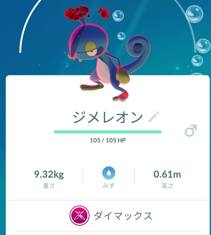 虎*様 ポケモンカード ex メガ break V sr タッグチーム含む100 虎【虎