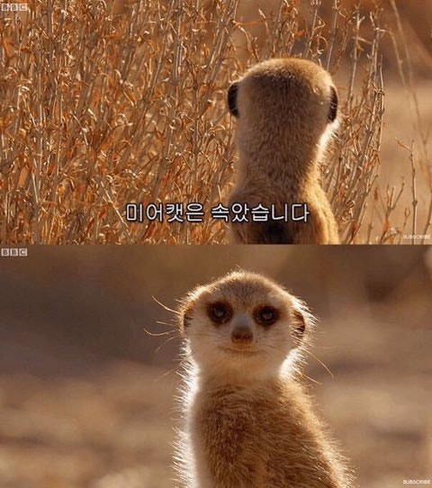 듀블은 또 속았습니다.

( '7히트' 타격하는 기본 공격 '1회' 로 판정되어 망각 등 적중 시 효과는 1회만 발동, '공격 속도 증가' 효과는 아예 적용되지 않음, '기본 공격 추가타 확률 증가' 효과는 불명.)

확실하게 적용되는 효과는 리버레이트 스킬의 '기본 공격 대미지 증가' 효과 뿐이랍니다.