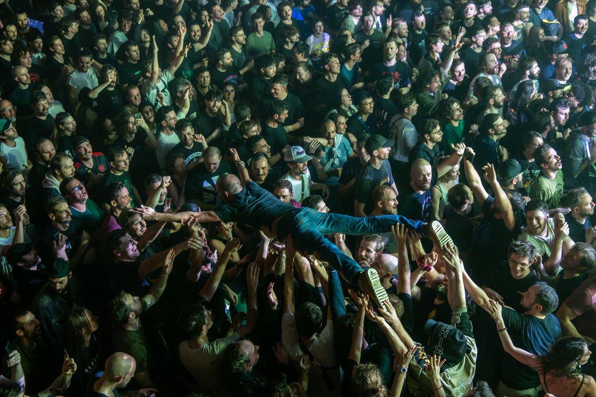 S.Camelot tweet media