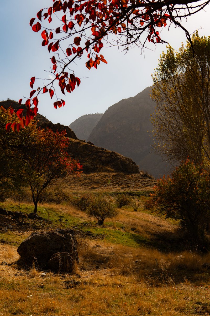 Осень в горах.

Ради того, чтобы насладиться этой атмосферой, пришлось прошагать почти 30 километров.
