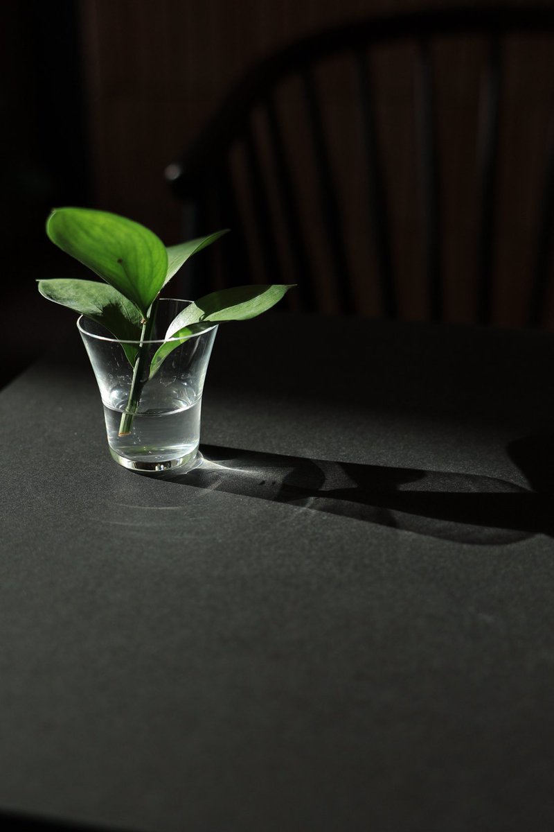 アリス (@alice8944) / Posts / X