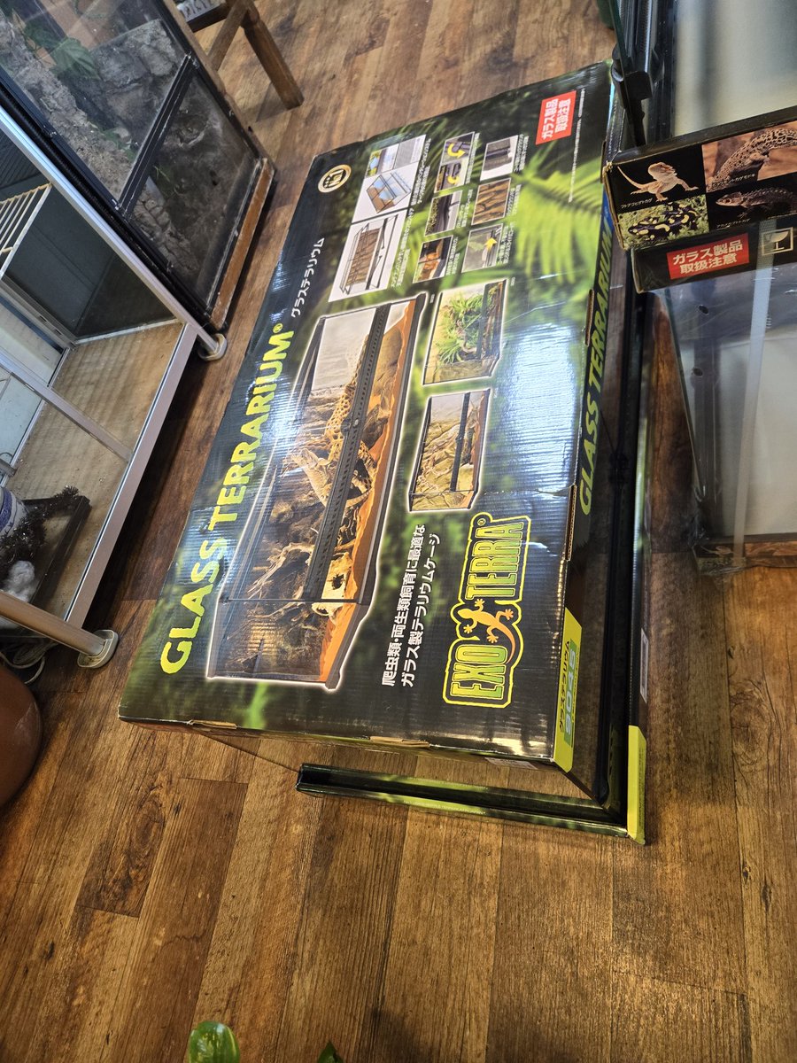 特注】爬虫類ケージ 804040 ガラス仕切り 配線穴右上下 特注】爬虫類