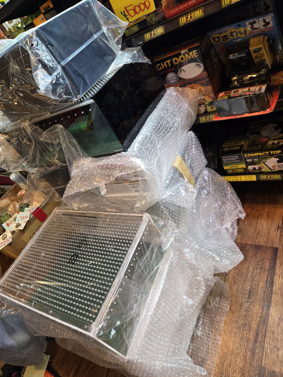 爬虫類専門店【𝙳𝙸𝚉𝚉𝚈 𝙿𝙾𝙸𝙽𝚃】東京第002225 on X