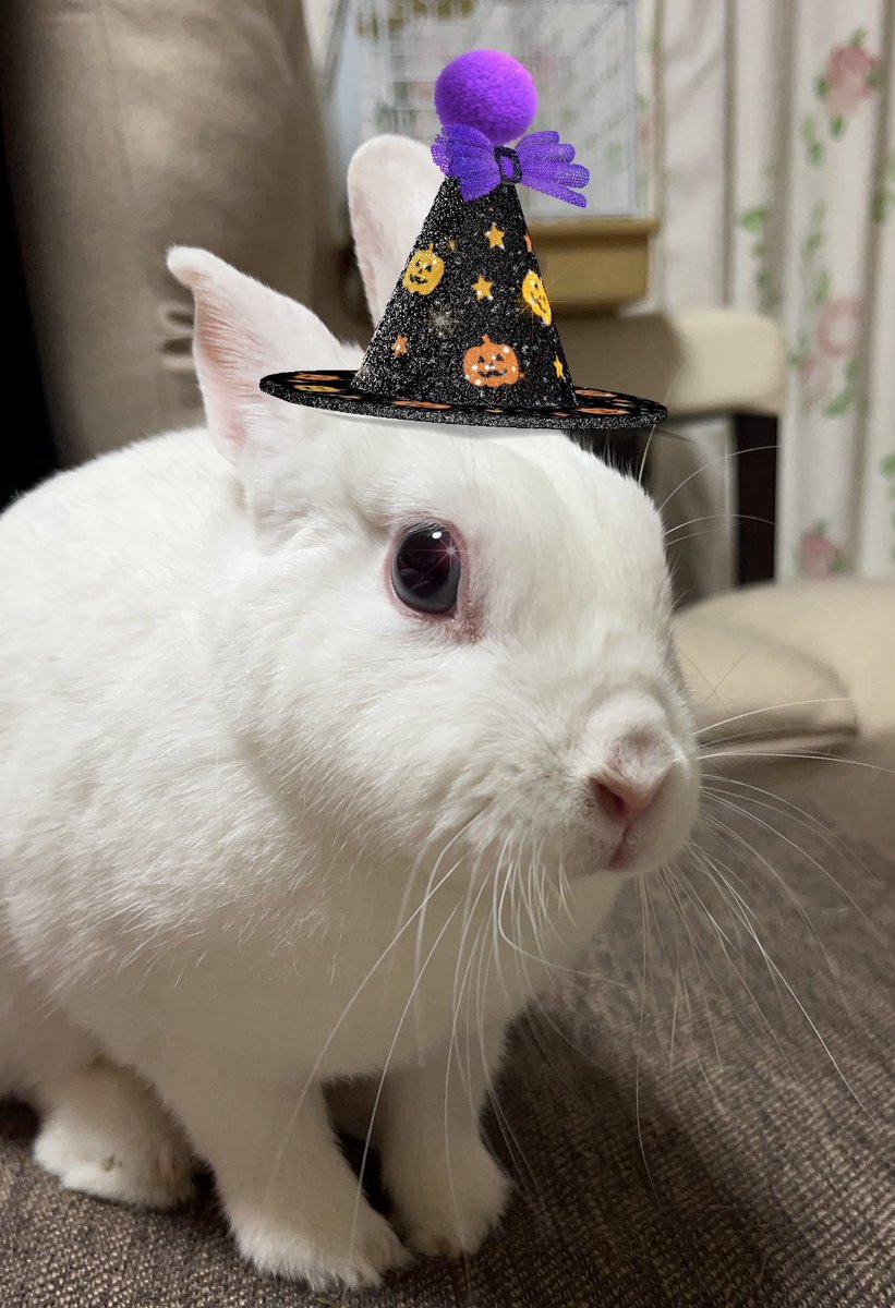 雨で寒いハロウィンナイト🎃👻ですね。 みなさん風邪ひかないで