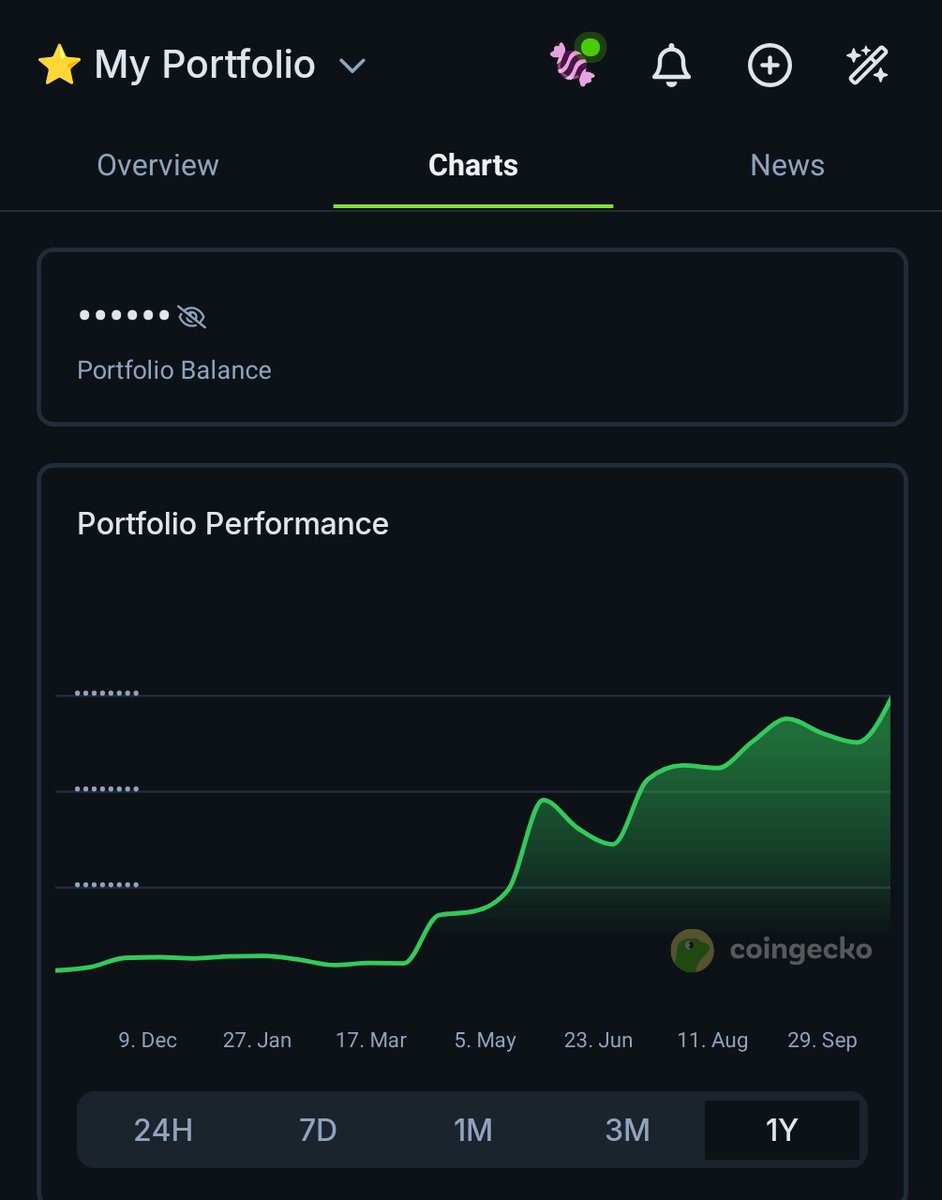 CoinGecko portfolio performance chart showing upward trend over the past year