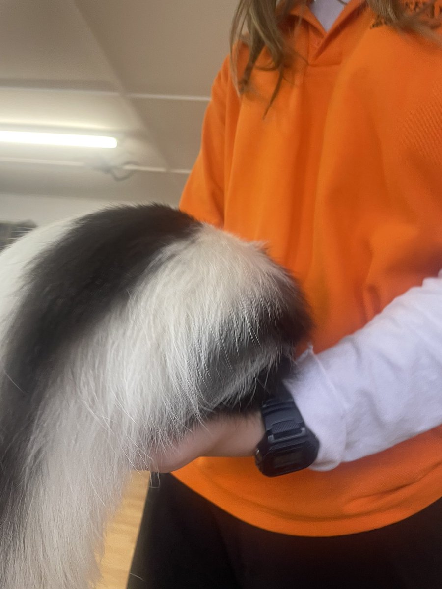 Guess the animal …clue is Reform UK