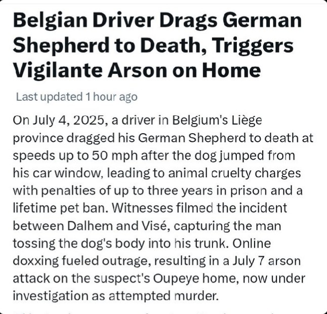 gillradcliffe's tweet image. Unfortunately, the dog died. Absolutely terrible.