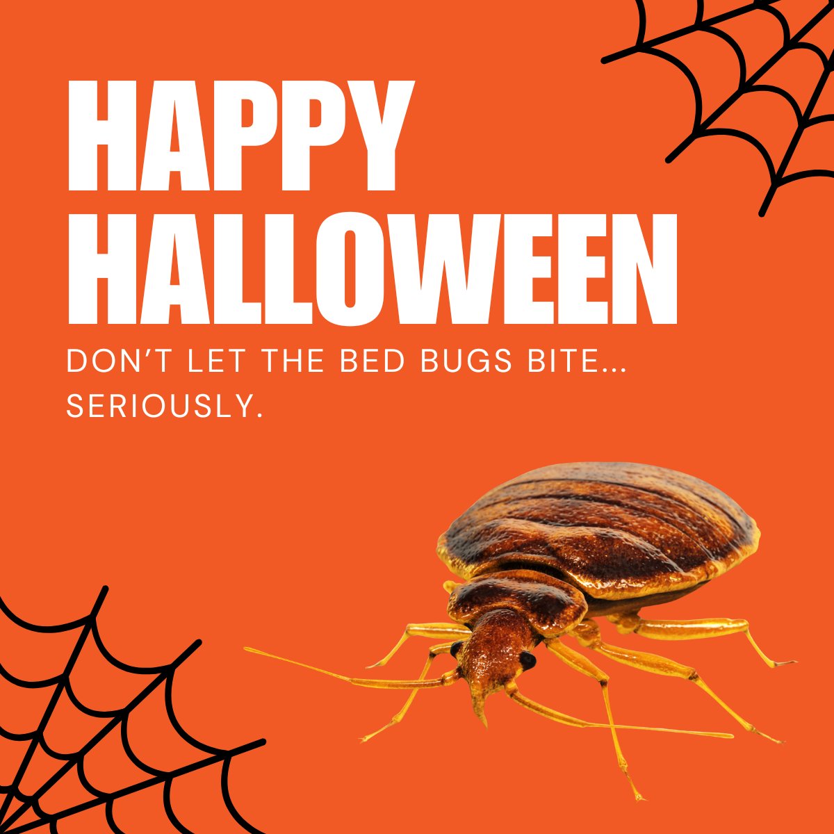 BugScents tweet media