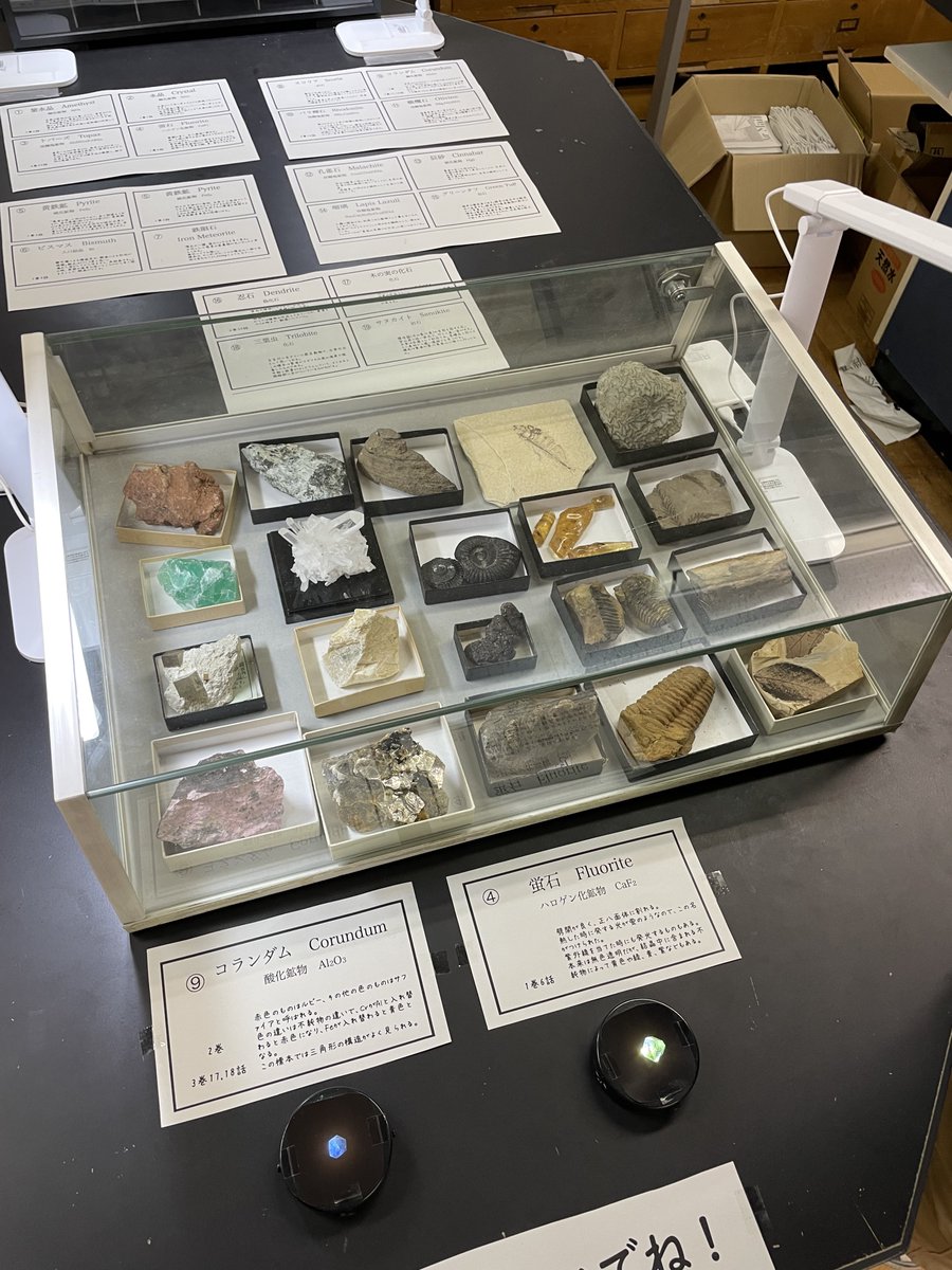 限界鉄緑生 (@tangonoir37) / Posts / X