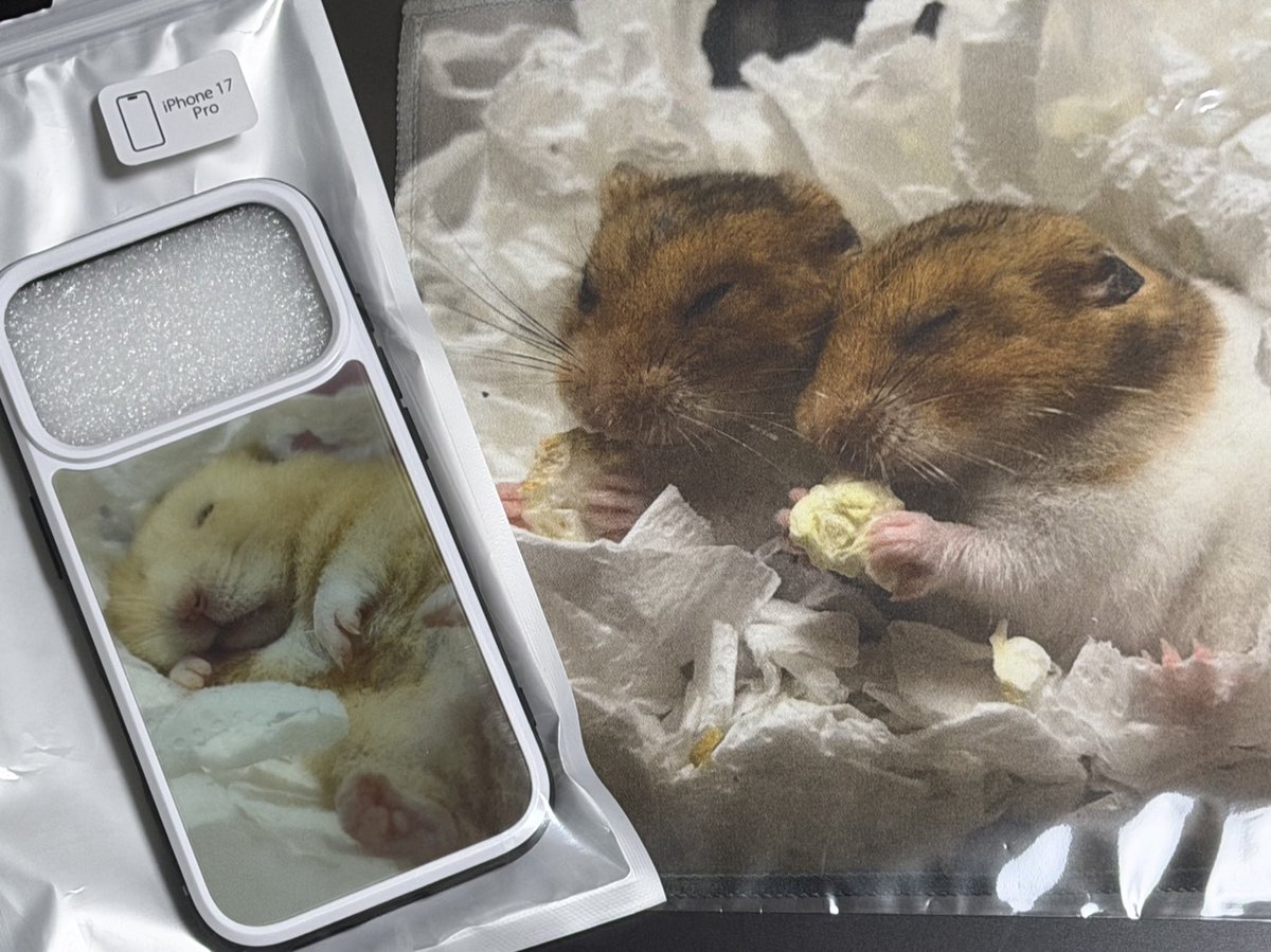 黄藤＠きなこと仲間たち (@kifujikinako) / Posts / X