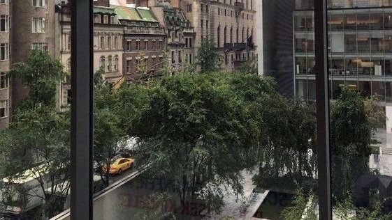 moodyonmoon's tweet image. 