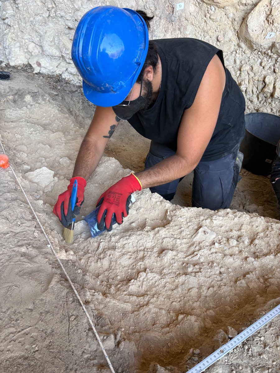 Universidad de La Laguna tweet media