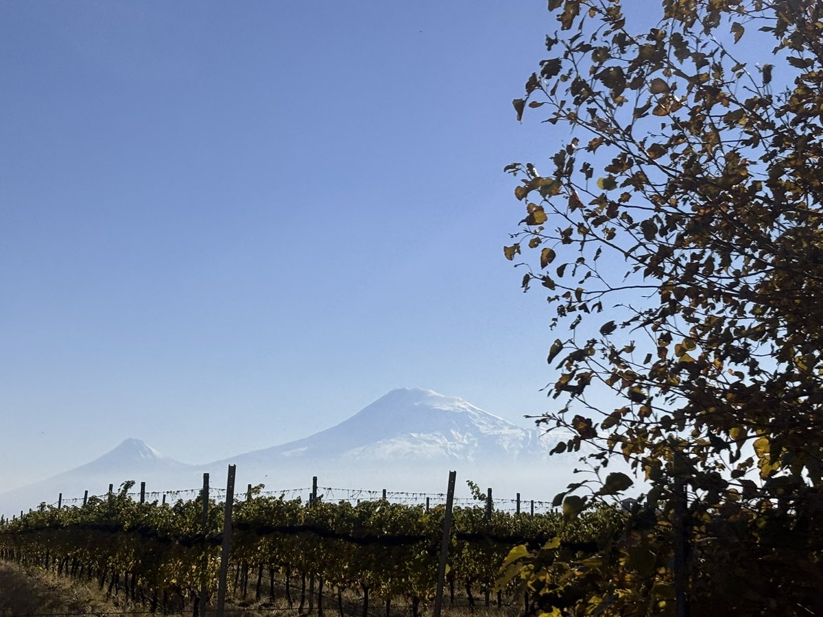 今日のアララト山