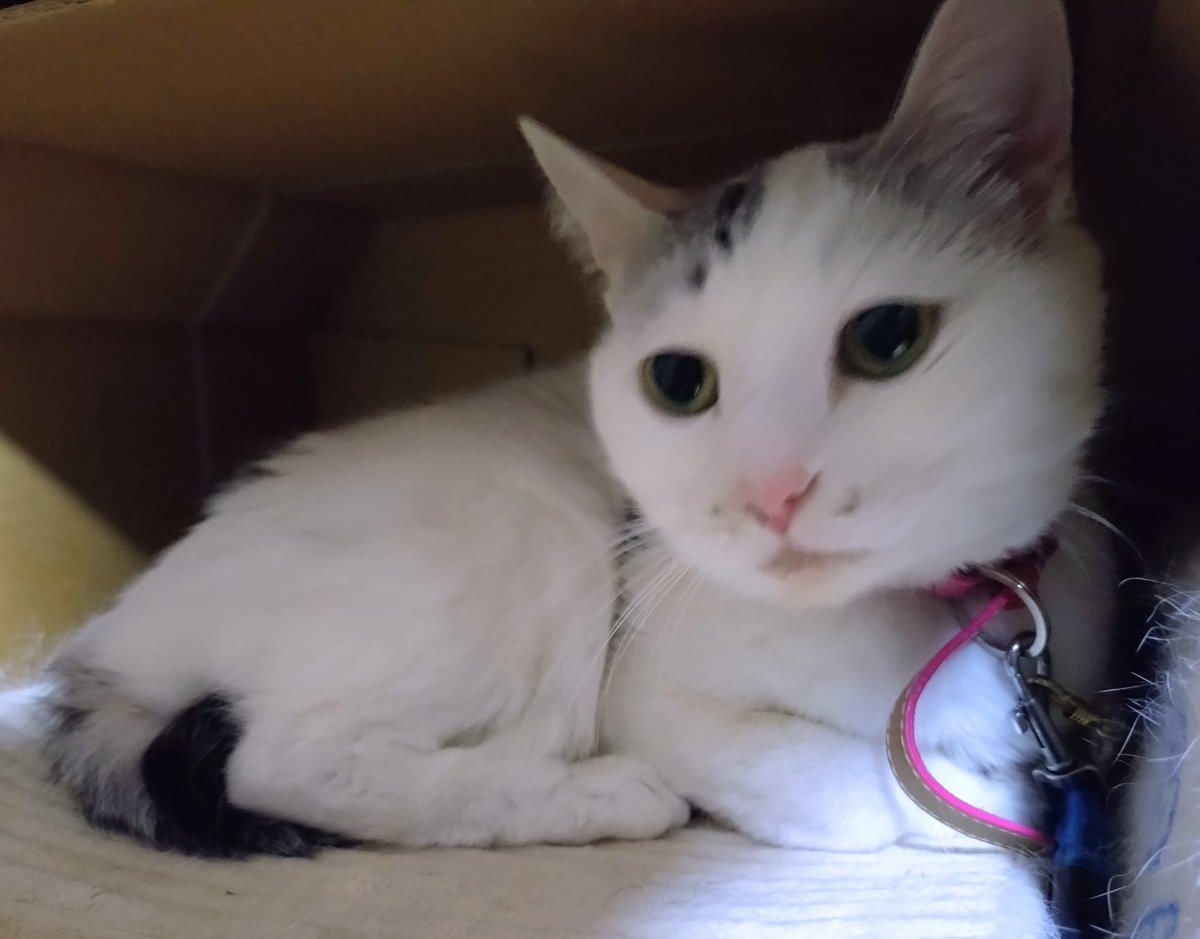 ひーちゃん様ご確認ページ ひーちゃん (@Hisame9650) / Posts / X