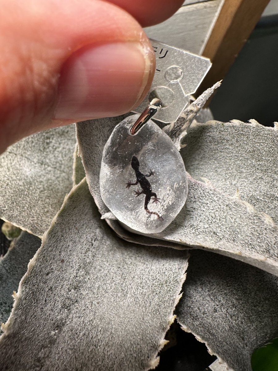 1cmの宇宙（ナカダマサヒデ） on X