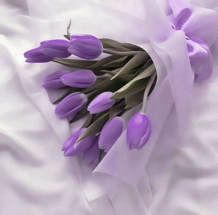 tutututututulip's tweet image. 