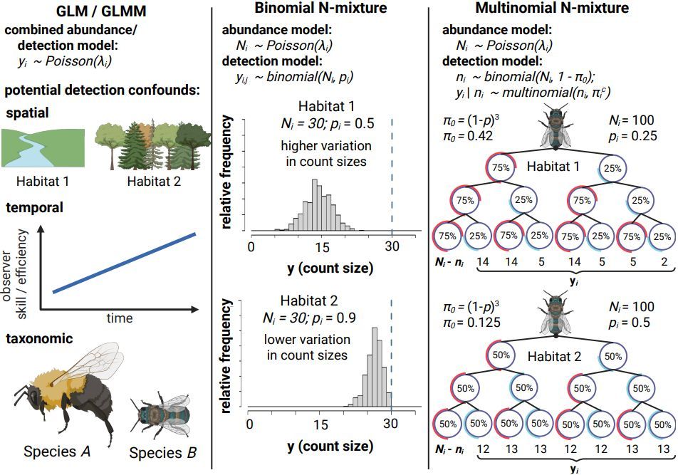 New research on "estimating the ecological drivers of insect abundance when detection is imperfect" 🐝 🪰 
buff.ly/xONCIEF