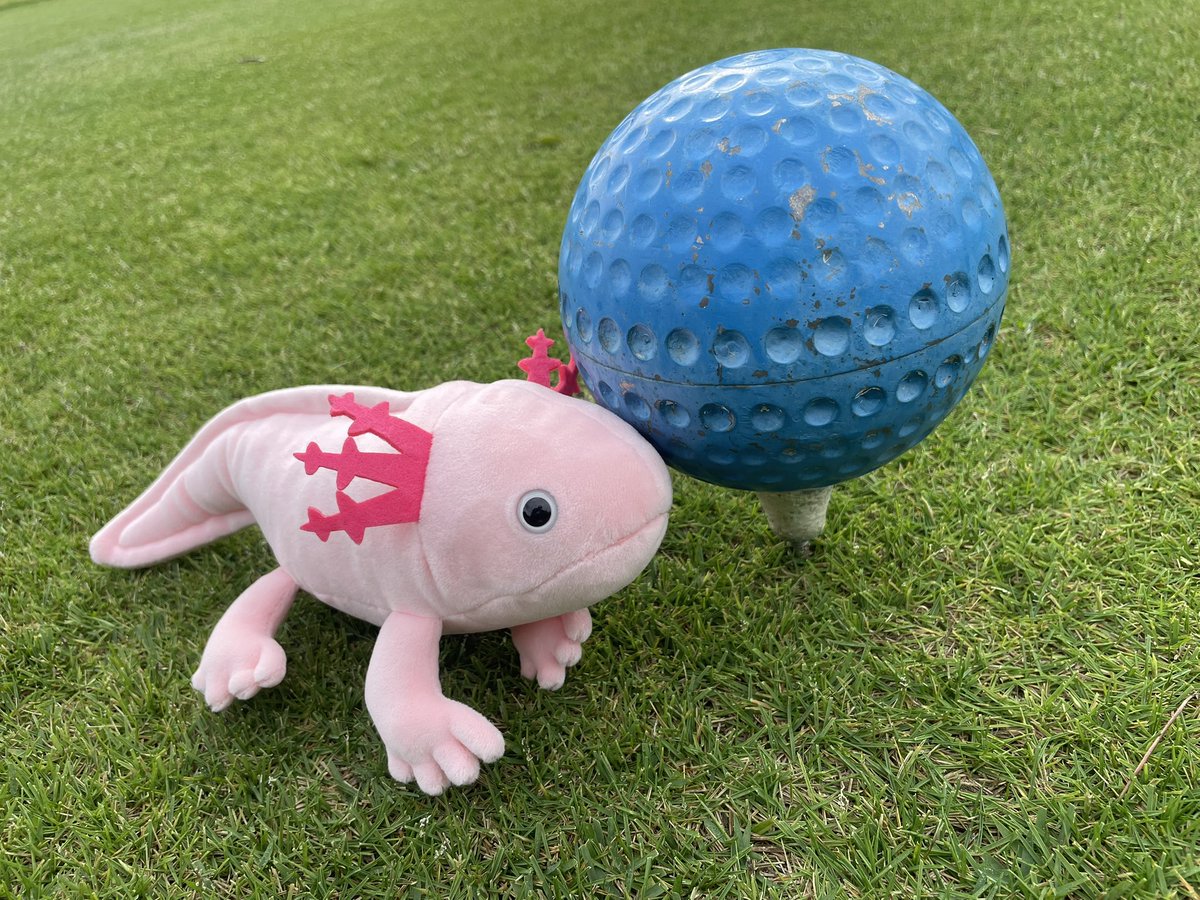 ぬいぐるみのテイクオフ【公式】 on X