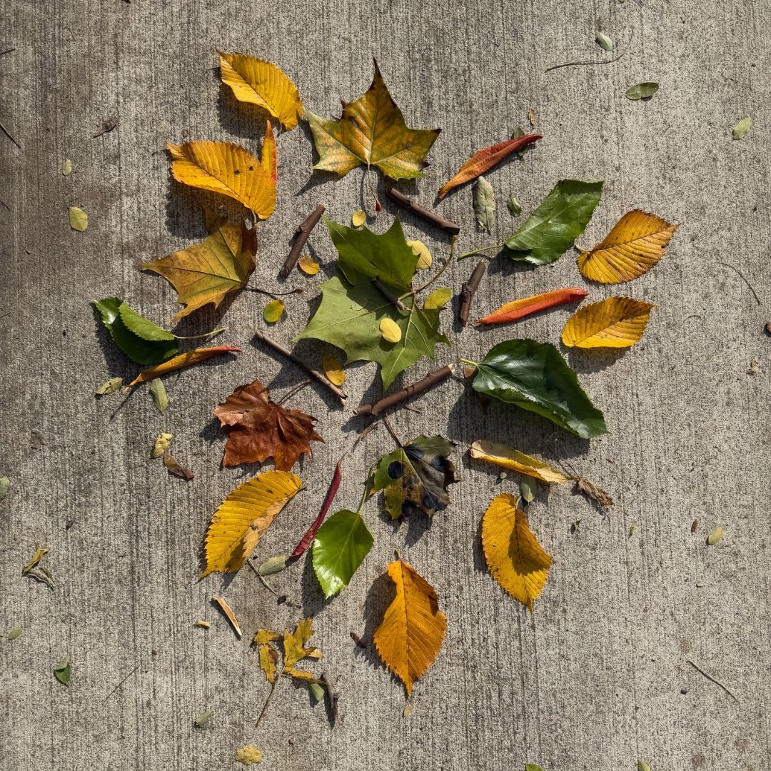 Our Junior School Learning Buddies program is in full swing, with students from different grades partnering up to read, write, and learn together.📚 #KCSLearningBuddies