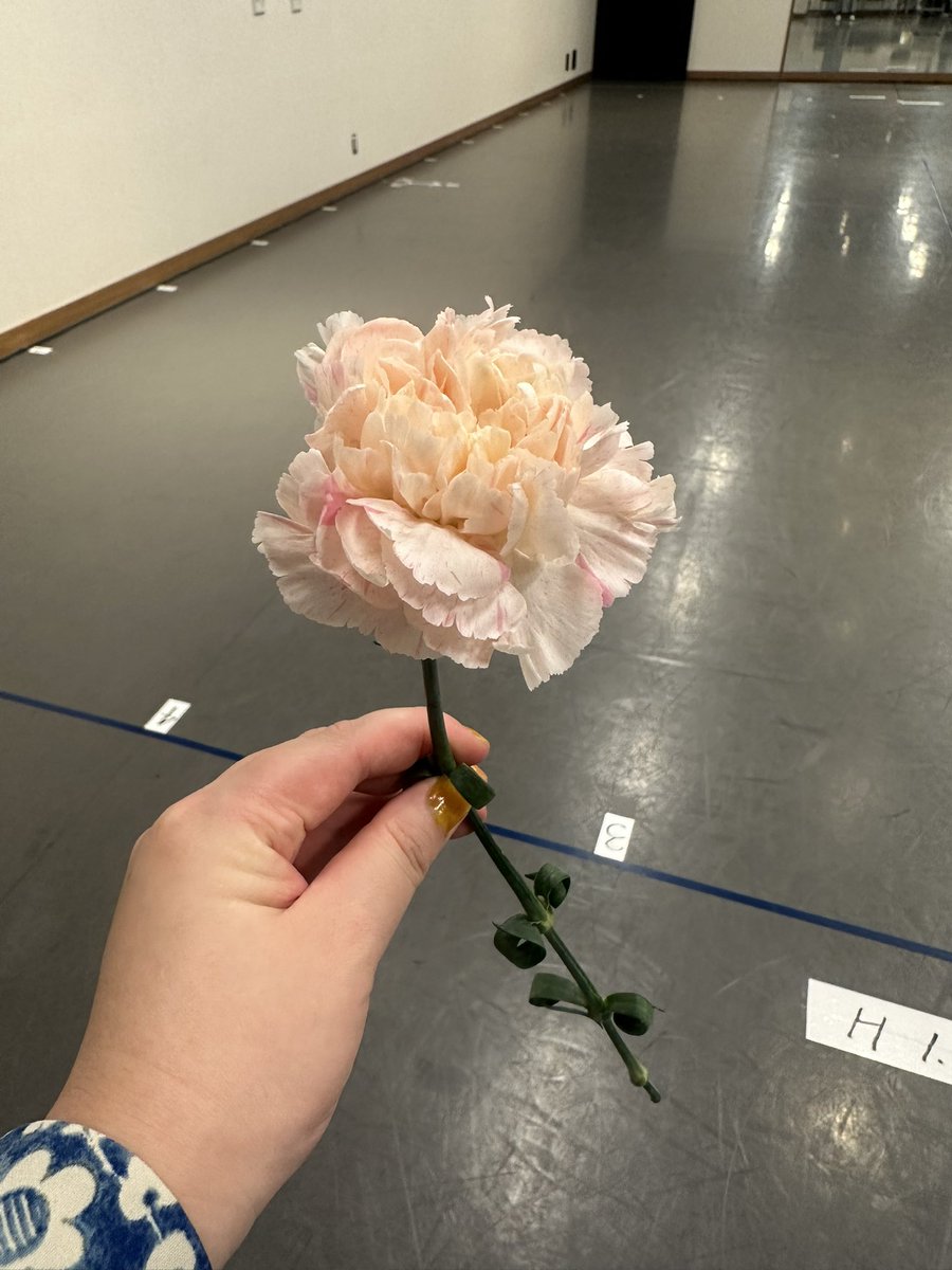 ai_fpf's tweet image. 踊ハロリハ。
同窓会みたいで楽しい時間でした！
いよいよ明日から🎃