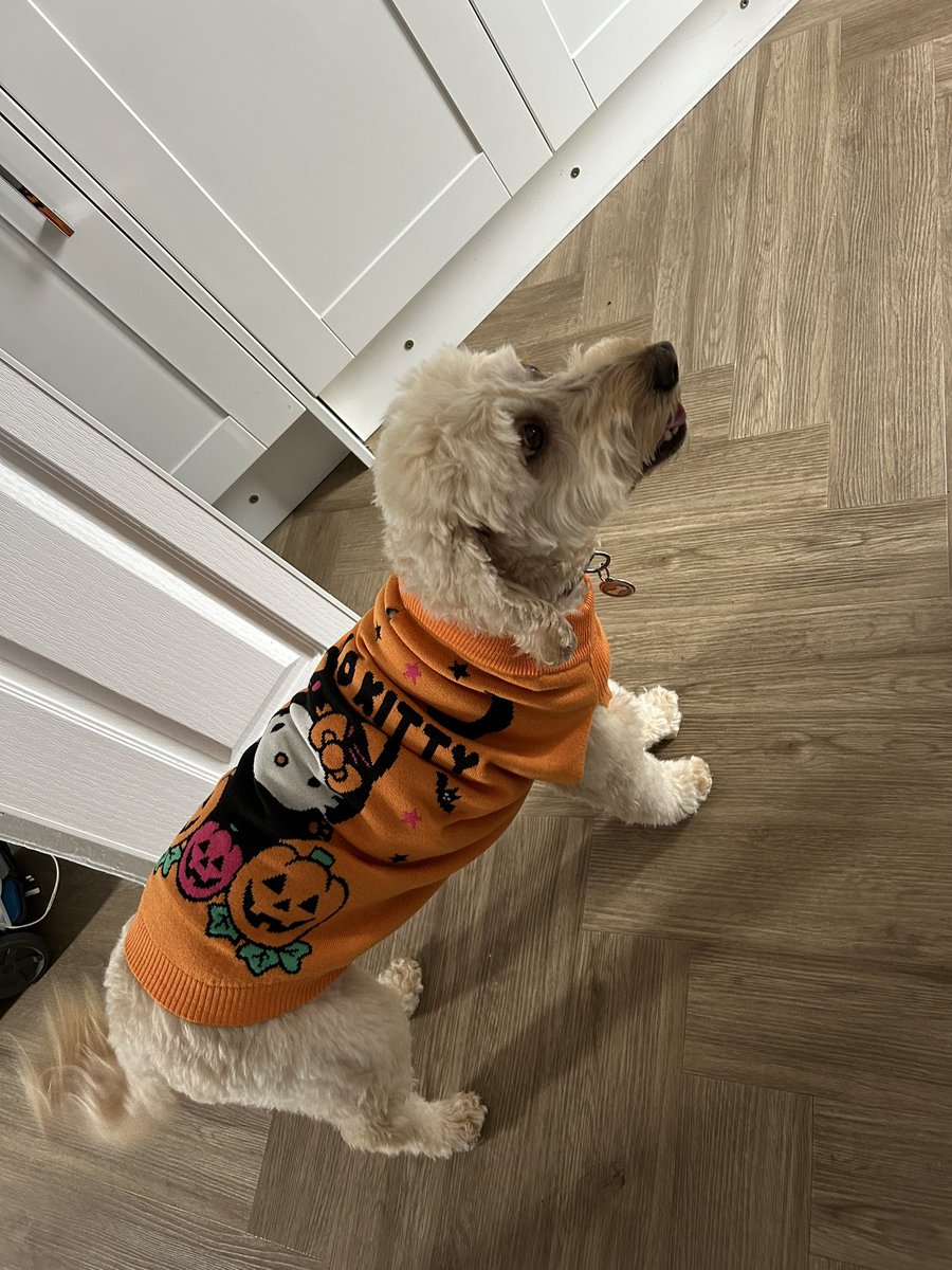 Dorothy McCabe tweet media