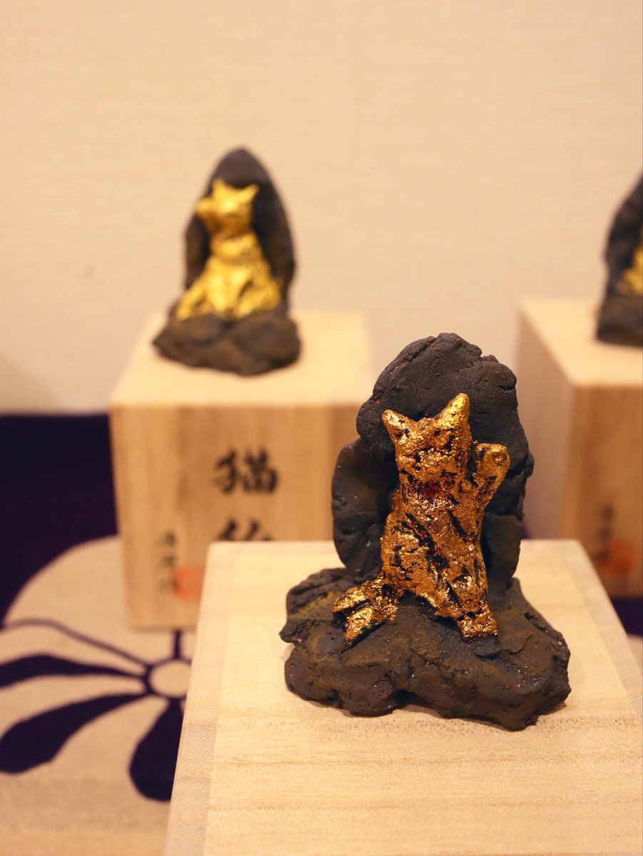 松本浩子𓃠百々猫堂 on X